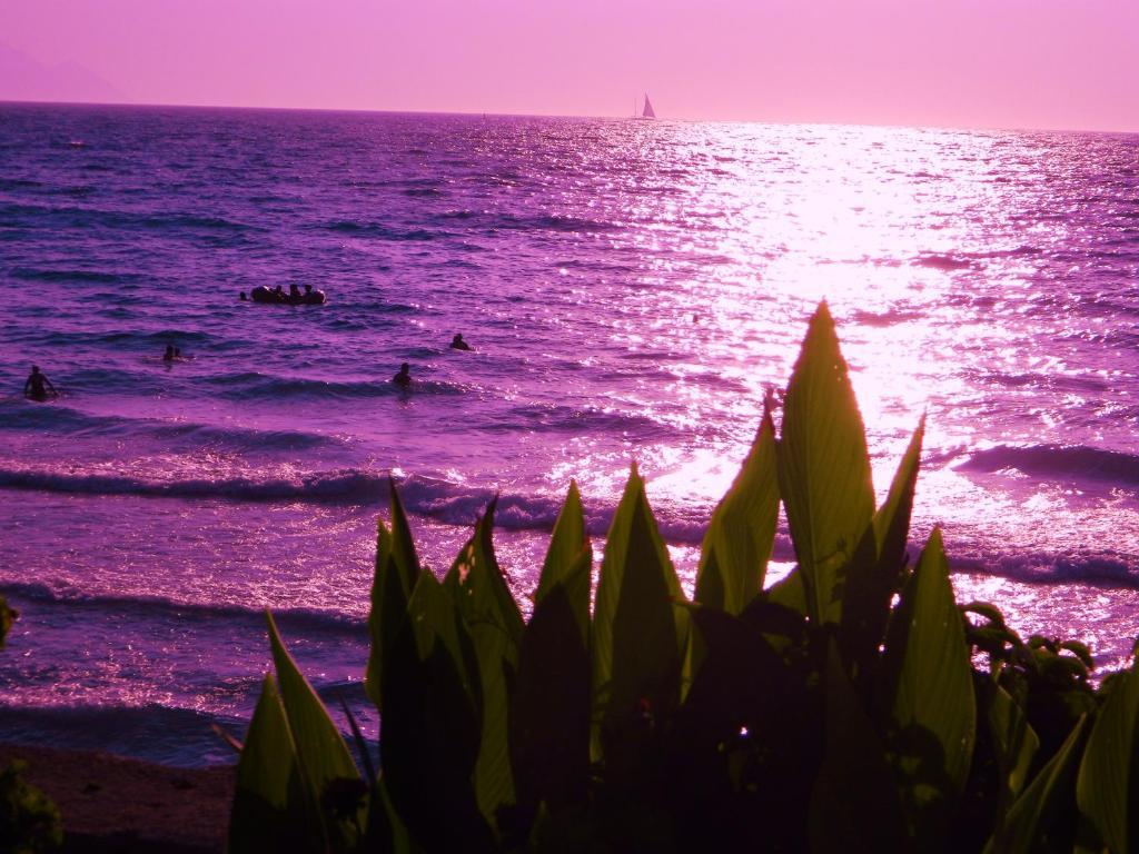 Kibar Apart Pansiyon Kusadası Esterno foto